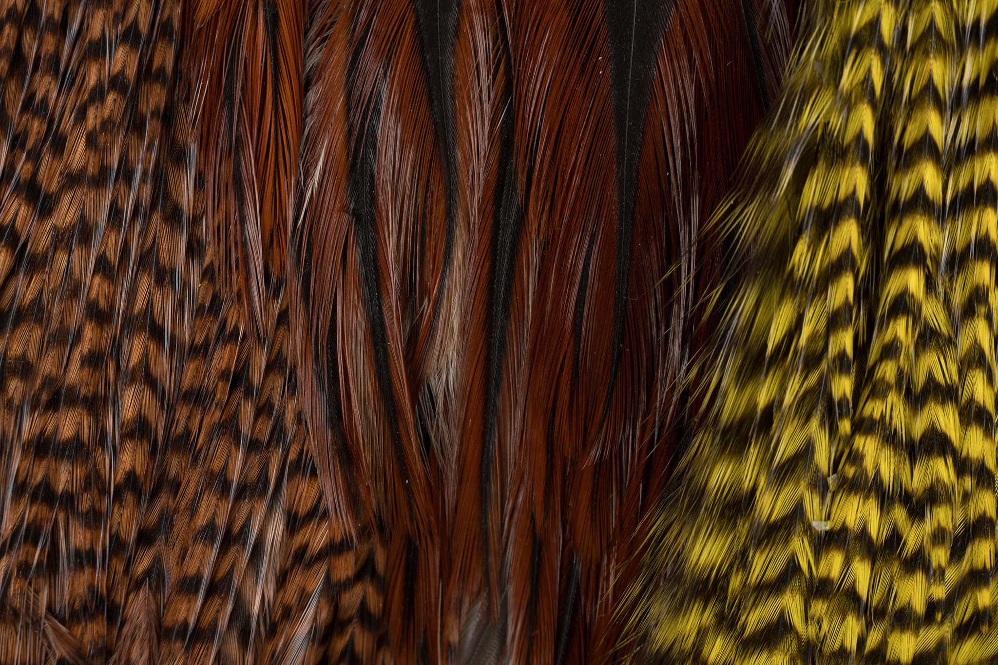 Ewing Rooster Variety Pack