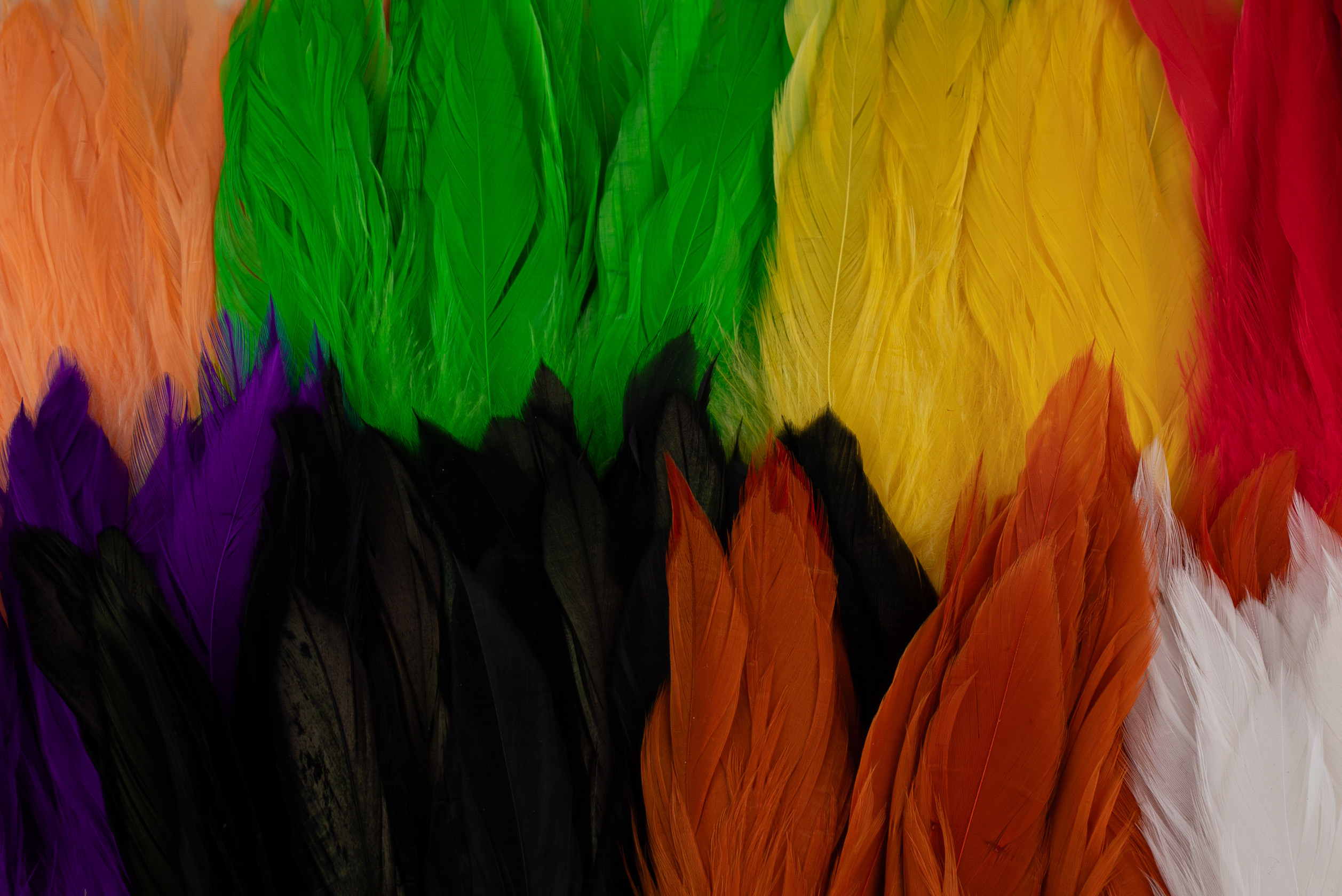 FF Schlappen Feather