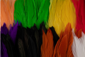 FF Schlappen Feather